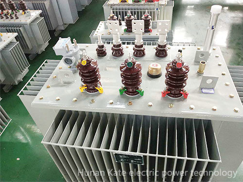 Oil-immersed transformer