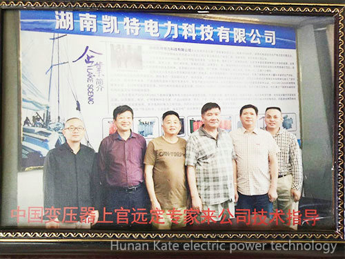 Chinese-Transformer-Experts-Visit